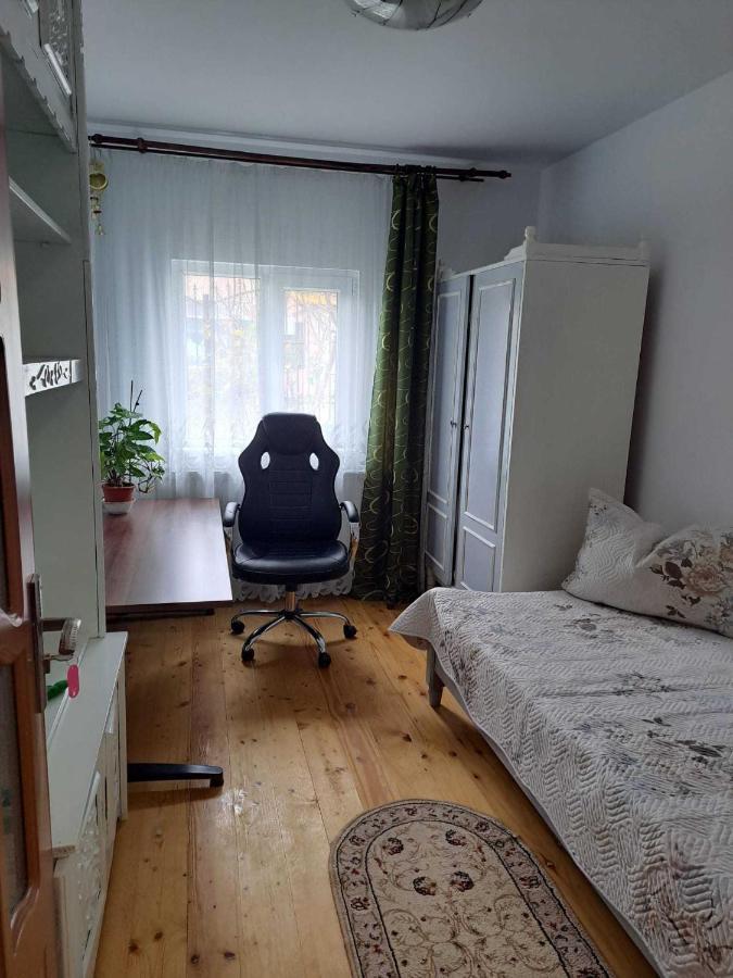 Muzicii 11 - Cozy Seaside Apartments Năvodari Eksteriør billede