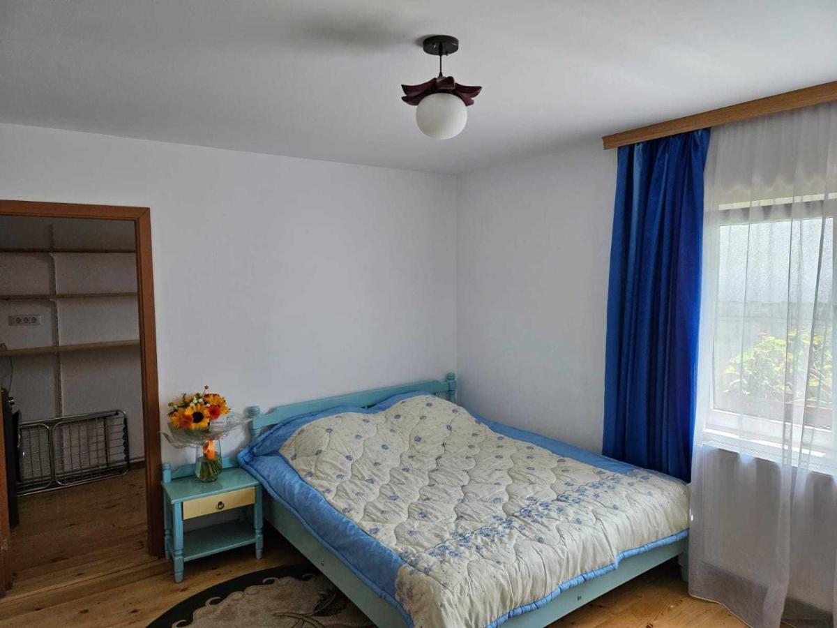Muzicii 11 - Cozy Seaside Apartments Năvodari Eksteriør billede
