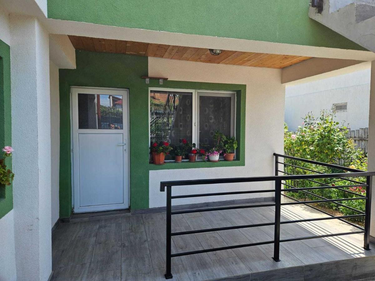 Muzicii 11 - Cozy Seaside Apartments Năvodari Eksteriør billede